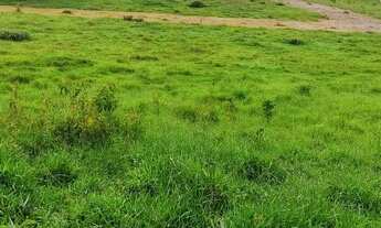 Imagem 7: Lote/Terreno para venda possui 500 metros quadrados em Parque São George - Cotia - SP