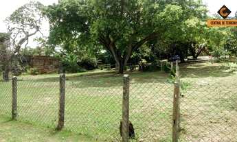 Imagem 4: SÍTIO EM ABRANTES - CAMAÇARI