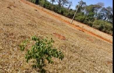 Imagem 6: Chácaras em Nova Veneza: 1.000m2 a partir de R$29...000,00 à vista