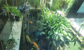 Imagem 3: Linda casa em condomínio com 5 dormitórios, condomínio com área de lazer completa