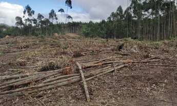 Imagem: D7-Fazenda/Sítio/Chácara para venda possui