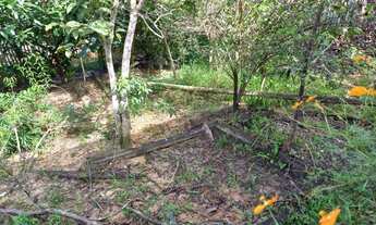 Imagem 7: CASA Casa com 2 dormitórios