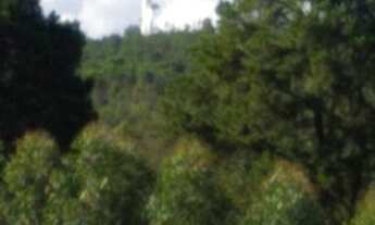 Imagem 3: LOTE NO LAGO NORTE!!! 1.000 METROS !!!