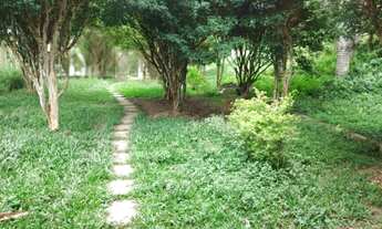 Imagem 4: Lotes em bairro formado