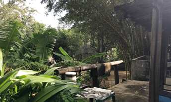 Imagem 3: Terreno - Chácara Bela Vista - Campinas