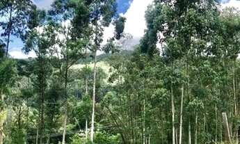Imagem 4: Terreno para Venda em Nova Petrópolis, São Jacó