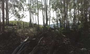 Imagem 5: Lote/Terreno para venda com 250 metros quadrados em centro - Salesópolis - São Paulo