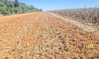 Imagem 6: Fazenda/Sítio/Chácara para venda possui metros quadrados com 4 quartos