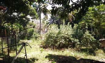 Imagem 2: Chácara em Abrantes