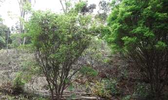 Imagem 2: Terreno 27 ha terra de cultivo, água de nascente, documentada, Santa Luzia