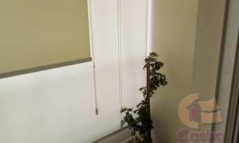 Imagem 5: SãO PAULO - Padrão - Pinheiros