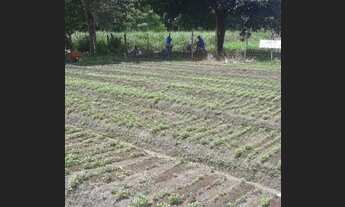 Imagem: Terreno em mosqueiro