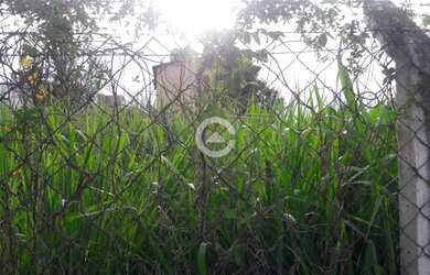 Imagem 2: Terreno - Parque Rural Fazenda Santa Cândida - Campinas