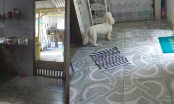 Imagem 2: Vendo ou troco ( casas em outeiro