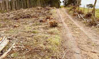 Imagem 6: D7-Fazenda/Sítio/Chácara para venda possui 2,500m² quadrados em aterrado - Salesópolis