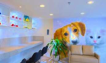 Imagem 3: Apartamento para venda com 77 metros quadrados com 3 quartos em Jardim Renascença - São Lu