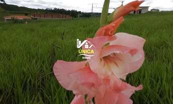 Imagem 6: Terreno em Guararema... 1034 metros quadrados; em Guararema - SP