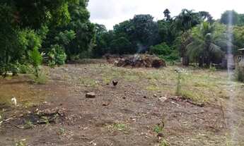 Imagem 2: Terreno Belterra