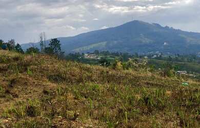 Imagem 5: Vendo terreno de 1000m² próximo a Guarulhos
