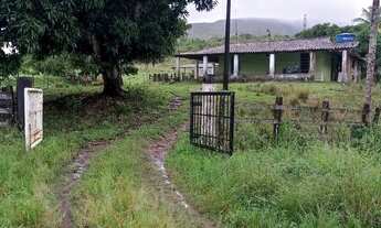 Imagem 4: Sítio em povoado Rio das Pedras Branca-Se Areia