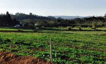 Imagem: Terrenos maravilhosos em Ibiúna