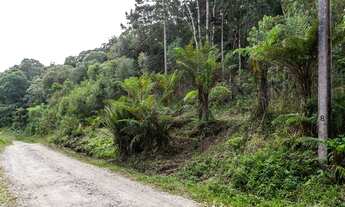 Imagem 3: Terreno em Piraquara - ARYA 1