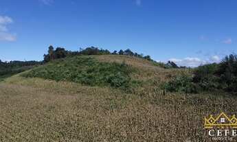 Imagem 3: Sítio / Chácara para Venda em Santa Maria do Herval, Padre Eterno Ilges
