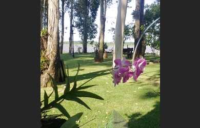 Imagem 3: Rural chacara com 4 quartos - Bairro Centro em Primeiro de Maio