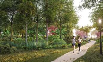 Imagem 4: Terreno/Lote Industrial em Governador Celso Ramos