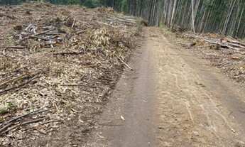 Imagem 7: Lançamento lotes plainos para você. 2500 metros quadrados em Centro - Salesópolis - SP
