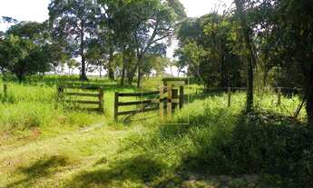 Imagem: Área 245 Alqueires, Cocalinho - MT