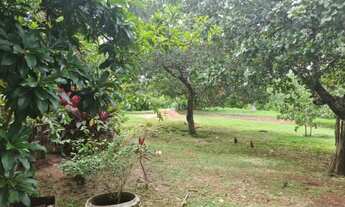 Imagem: Fazenda/Sítio/Chácara para venda possui