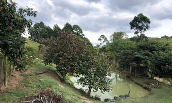 Imagem 5: Sítio de 65 Hectares em Catuçaba Com Escritura