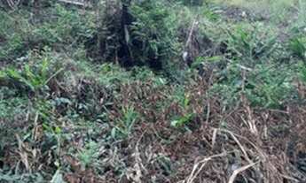 Imagem 5: Vendo Lote Honório Bicalho 15mil