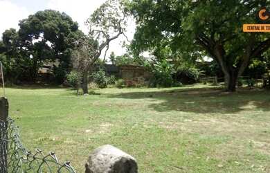 Imagem 3: SÍTIO EM ABRANTES - CAMAÇARI