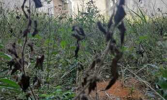 Imagem 2: Lote/Terreno para venda tem 125 metros quadrados em Residencial Jatobá - São José dos Camp