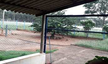 Imagem 4: Sitio 5.6 alqueires 30 km de Uberlândia