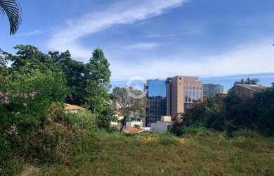 Imagem 2: Terreno - Nova Campinas - Campinas