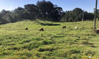 Imagem 3: Sítio / Chácara para Venda em Gramado, Serra Grande