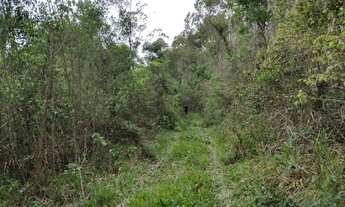 Imagem 5: Chácara registrada 2 rios e muita área plana - 13,5 Alq