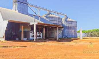 Imagem: Fazenda/Sítio/Chácara para venda possui