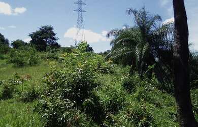 Imagem 6: BETIM - Terreno Padrão - Cruzeiro Do Sul