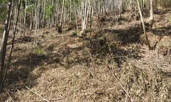 Imagem 5: Terreno para chácara em ibiúna