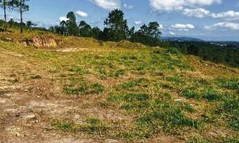 Imagem 3: 03m-Vendo lote em área rural##