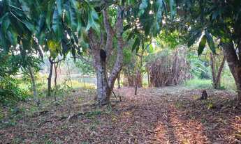 Imagem 5: Chácara Chácara com venda por R$160.000