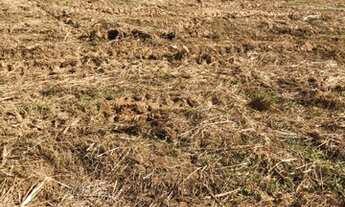 Imagem 4: Lote/Terreno para venda tem 600 metros quadrados em Recanto das Águas - Igaratá - SP