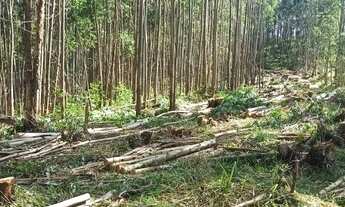 Imagem 5: Salesópolis, chácaras a venda