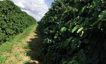 Imagem: Sítio de café ! Vendo ou troco