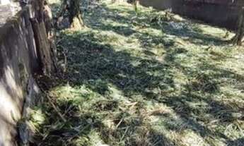 Imagem 4: Lote/Terreno para venda tem 381 metros quadrados em Balneario Maria Helena Novaes - Peruí