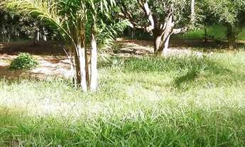 Imagem 1: BARãO DE COCAIS - Sítio - Zona Rural